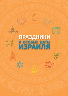 Михаил Бруштейн Праздники и особые даты Израиля обложка книги
