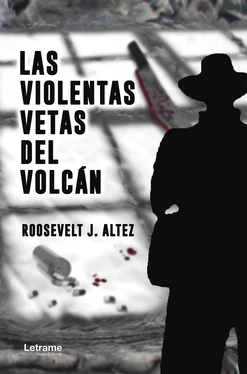 Roosevelt J. Altez Las violentas vetas del volcán обложка книги