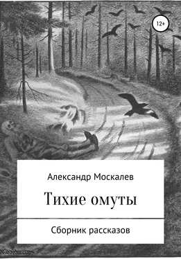 Александр Москалев Тихие омуты обложка книги