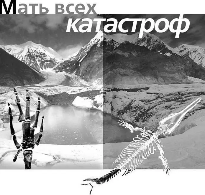 Американский ученый Питер Уорд начинает свою статью Удар из глубины - фото 7