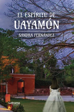 Sandra Fernández El espíritu de Uayamon обложка книги