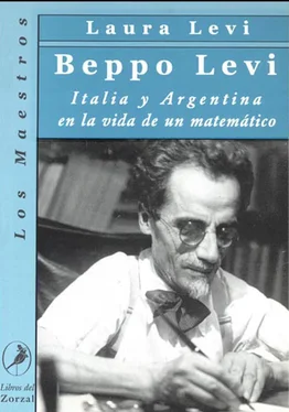 Laura Levi Beppo Levi обложка книги