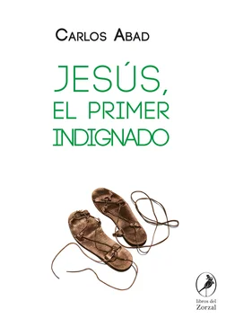 Carlos Abad Jesús, el primer indignado обложка книги