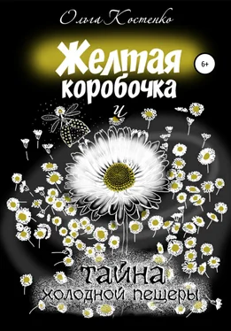 Ольга Костенко Желтая коробочка и тайна холодной пещеры обложка книги