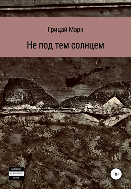 Марк Грицай Не под тем солнцем обложка книги