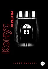 Павел Амнуэль - Конус жизни
