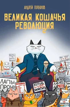 Андрей Горбунов Великая кошачья революция обложка книги