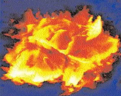Электронное изображение микроорганизма найденного во льду озера Восток Сейчас - фото 11