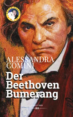 Alessandra Comini Der Beethoven Bumerang обложка книги