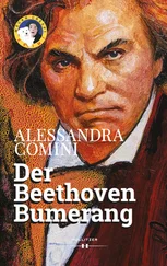 Alessandra Comini - Der Beethoven Bumerang