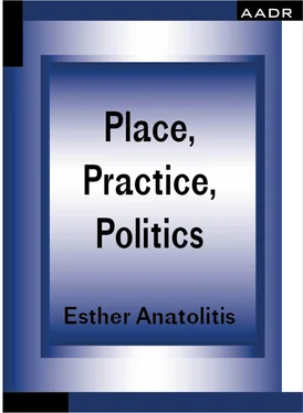 Esther Anatolitis Place, Practice, Politics обложка книги