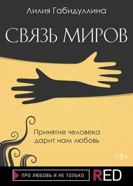 Лилия Габидуллина Связь миров обложка книги
