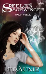 Calin Noell - Träume