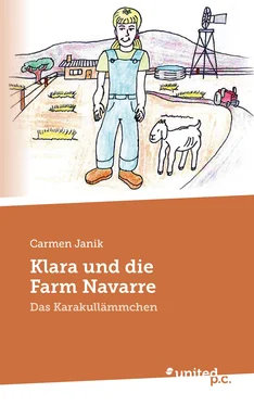 Carmen Janik Klara und die Farm Navarre обложка книги