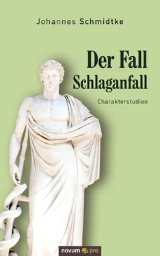 Johannes Schmidtke Der Fall Schlaganfall обложка книги