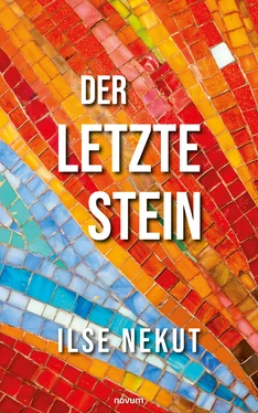 Ilse Nekut Der letzte Stein обложка книги