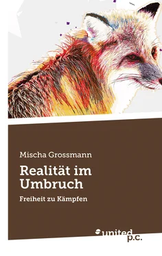 Mischa Grossmann Realität im Umbruch обложка книги