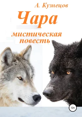 Александр Кузнецов Чара обложка книги