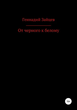 Геннадий Зайцев От черного к белому обложка книги