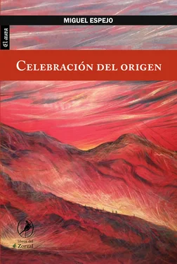 Miguel Espejo Celebración del origen обложка книги