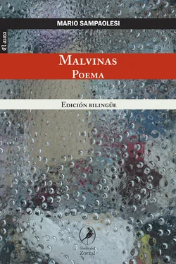 Mario Sampaolesi Malvinas обложка книги