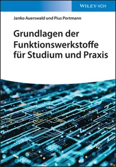Janko Auerswald - Grundlagen der Funktionswerkstoffe für Studium und Praxis