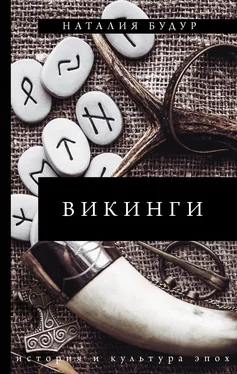 Наталия Будур Викинги обложка книги
