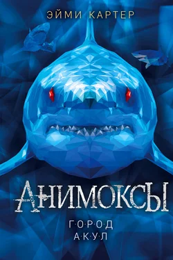 Эйми Картер Город акул обложка книги