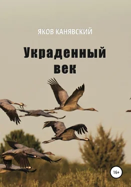 Яков Канявский Украденный век обложка книги