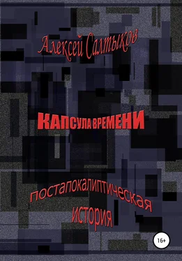 Алексей Салтыков Капсула времени обложка книги