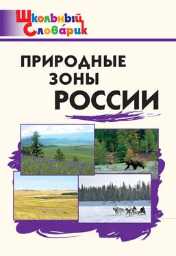 Сергей Рупасов Природные зоны России. Начальная школа обложка книги