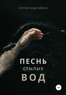 Сергей Нуштайкин Песнь стылых вод обложка книги