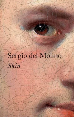 Sergio del Molino Skin обложка книги