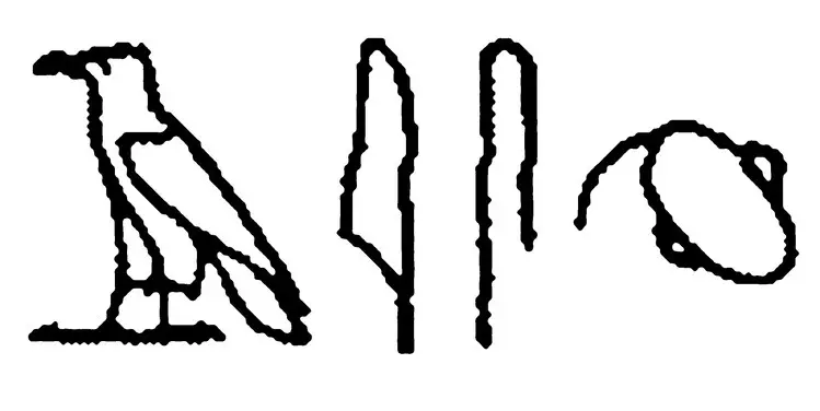 Figure 11 Hieroglyphic symbol for the ancient Egyptian word for brain - фото 6