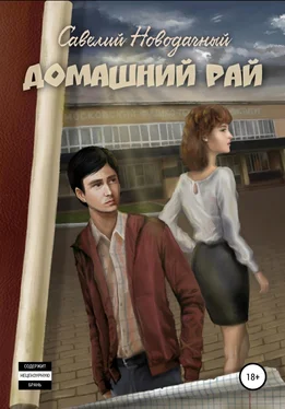 Савелий Новодачный Домашний рай обложка книги