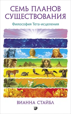 Вианна Стайбл Семь планов существования. Философия Тета-исцеления обложка книги