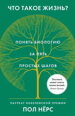 Пол Нёрс Что такое жизнь? Понять биологию за пять простых шагов обложка книги