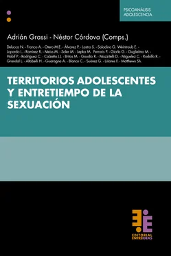 Adrián Grassi Territorios adolescentes y entretiempo de la sexuación обложка книги