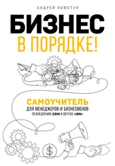 Андрей Пометун - Бизнес в порядке! Самоучитель для менеджеров и бизнесменов по внедрению CRM и других «эм»