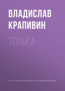 Владислав Крапивин Толька обложка книги