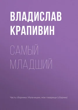 Владислав Крапивин Самый младший обложка книги