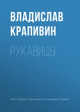 Владислав Крапивин Рукавицы обложка книги