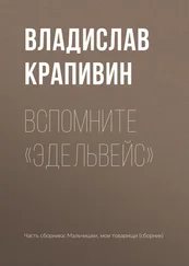 Владислав Крапивин - Вспомните «Эдельвейс»