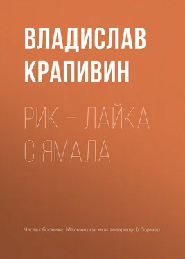 Владислав Крапивин Рик – лайка с Ямала обложка книги