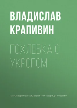 Владислав Крапивин Похлебка с укропом обложка книги