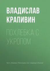 Владислав Крапивин - Похлебка с укропом