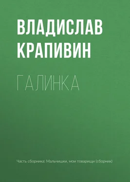 Владислав Крапивин Галинка обложка книги