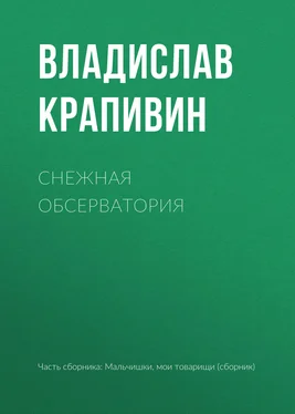 Владислав Крапивин Снежная обсерватория обложка книги