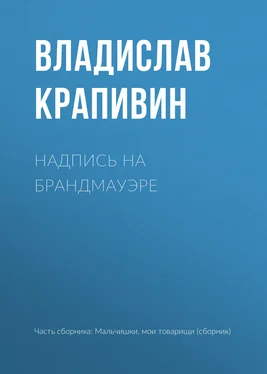 Владислав Крапивин Надпись на брандмауэре обложка книги