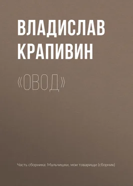 Владислав Крапивин «Овод» обложка книги